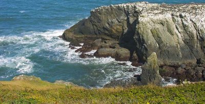 Oregon Coast 2006