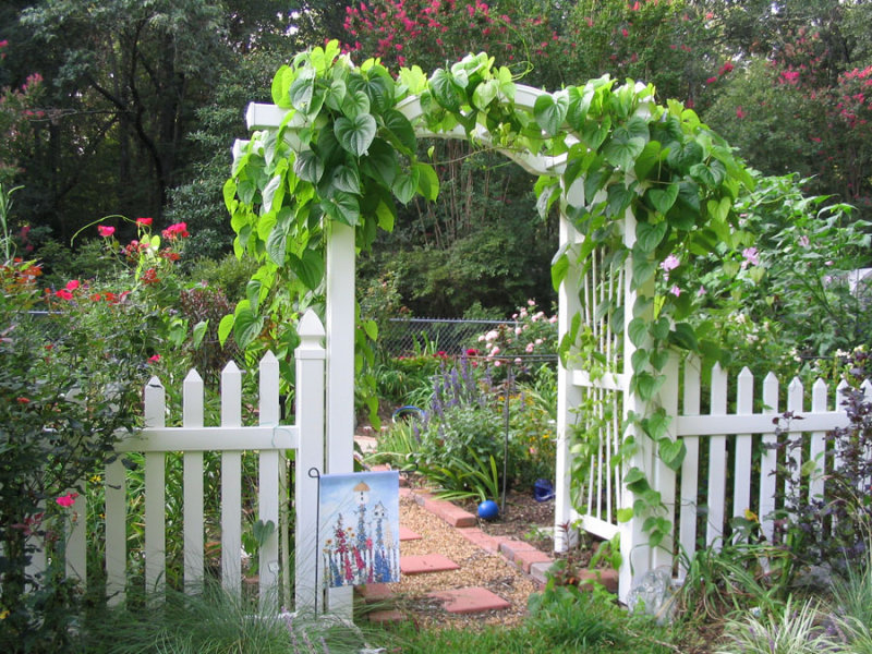 entrance of cottage garden in August 06