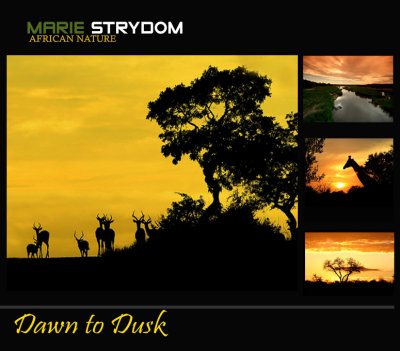 dawn to dusk copy.jpg