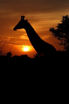 IMG_0057.JPG