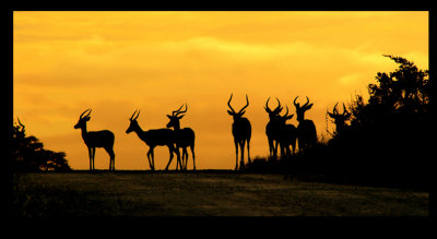 morning has broken 1.jpg