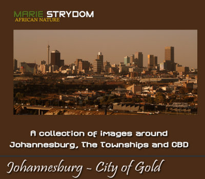 Johannesburg City of Gold