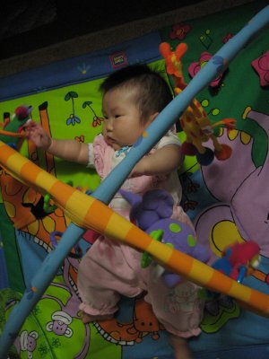 IMG_0226.jpg