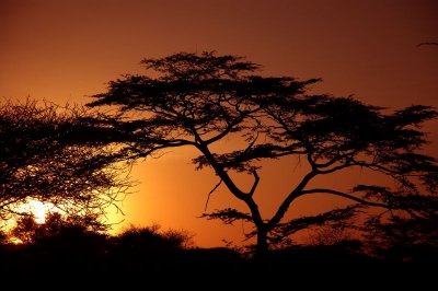 Serengeti National Park