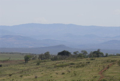 Ngorongoro Farm House 3