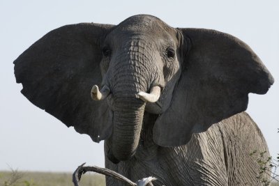 Serengeti National Park