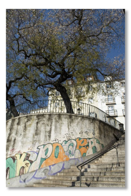 Quartier de l'Alfama