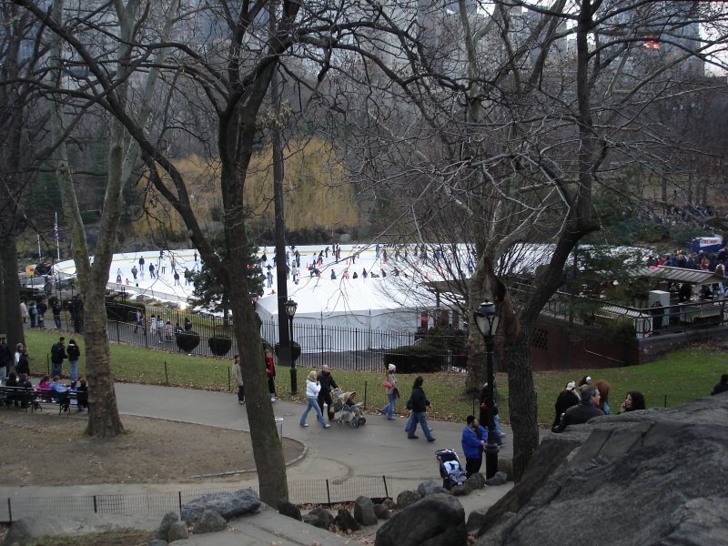 The Skating Rink