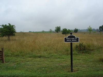 North edge of North Woods, looking toward the Miller Farm