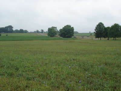 View of cornfield in the distance; the killing field