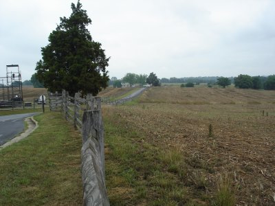 View towards Mumma Farm, from D.H. Hills position