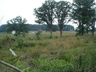 Bushman House