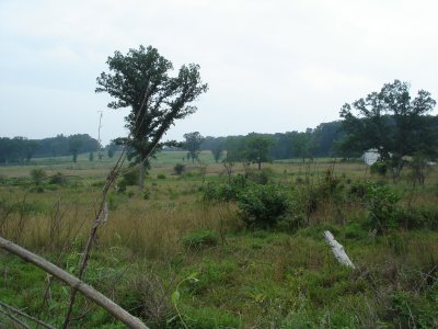 Field where the 1st Texas and 3rd Arkanas Advanced