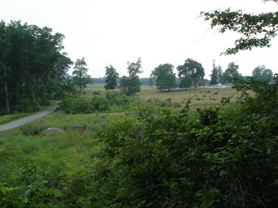Rose Farm from Stony Hill