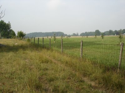 Warfield Ridge