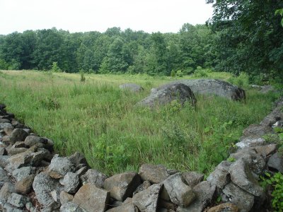 The Northeast corner of the Traingular Field