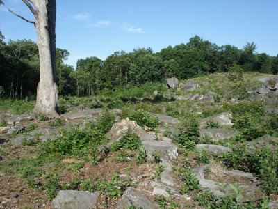Slaughter Pen