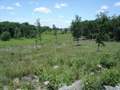 The 6th corps area from the Trostle House