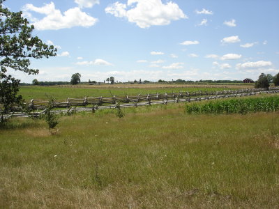 Trostle Lane from Trostle Barn looking toward Peach Orchard