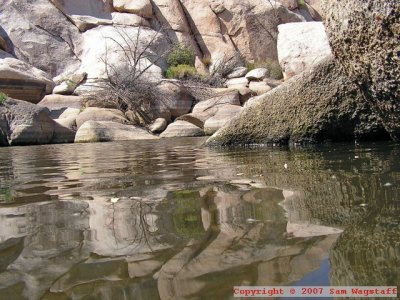 At water level at Joshua Tree