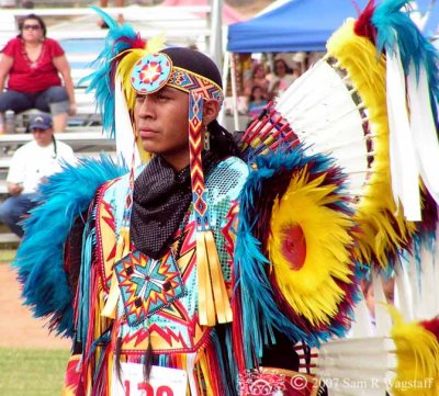 Barona Pow-wow 2007