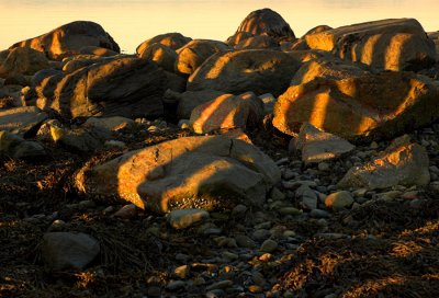 Shadows on stones