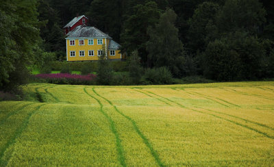 Yellow house