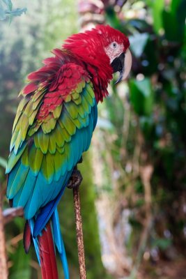 070320078A_web.jpg