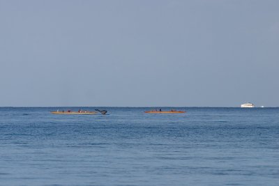 070327006A_web.jpg