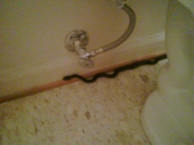 snake-bathroom-camphone01.jpg