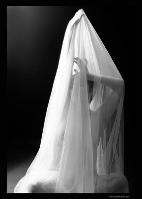 x-guaze01-web.jpg