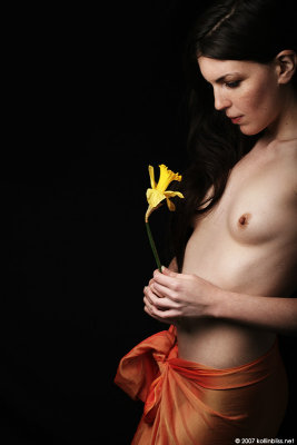 ari-daffodil01-web.jpg
