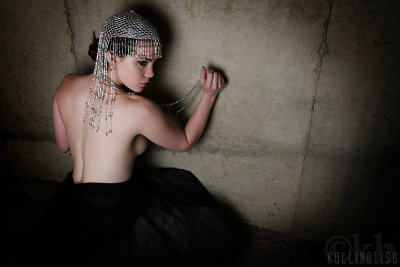mm-wallexotic01-web.jpg
