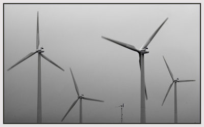 wind farm