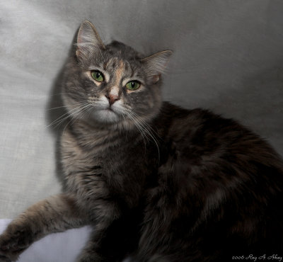 January 4, 2007: Smokey