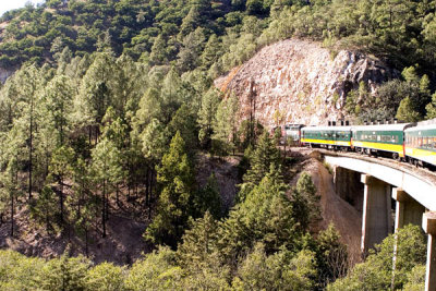 Chihuahua train