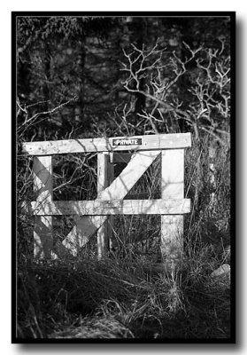 ....the gate opened!