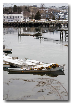 Feb. 27: While Ron's in therapy, I got out to shoot the harbor on this ....