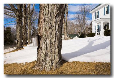 In Damariscotta, this household is hanging buckets....