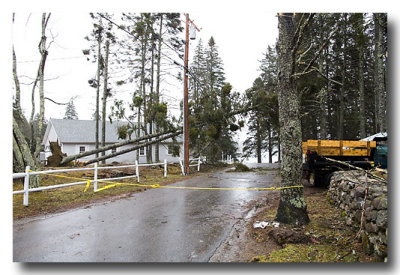 And out toward Spruce Point, the road is closed because so many trees block the road!