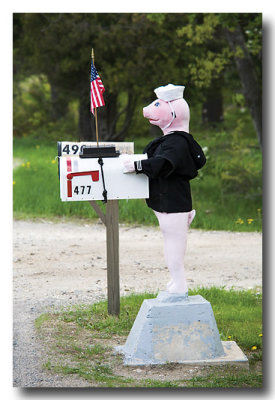 Up the road, Ms Porky Pignatious is dressed in her/his...