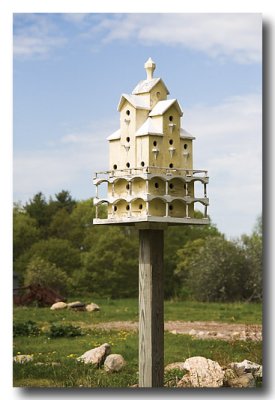 And even the birds get multi-level accomodations!