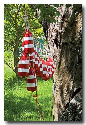 ...fishermen repaint their buoys and they...