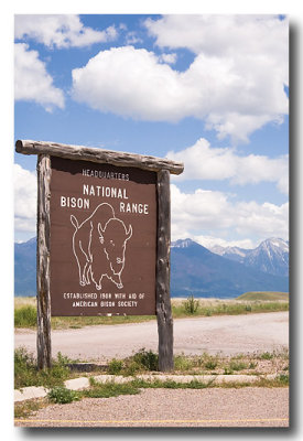 Then we stop at the Bison Range where there is wildlife on acres of land with views....