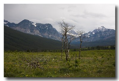 Trying to reach St. Mary's Lake before the rain.