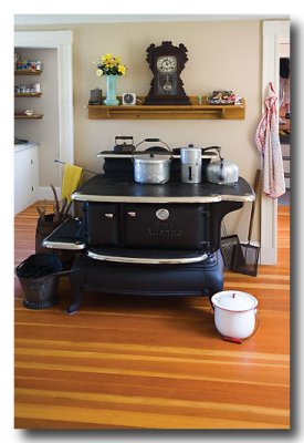 What a stove sits  in the kitchen!