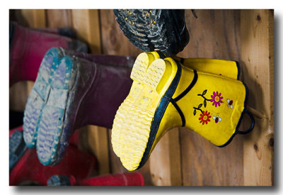 Boots hanging in a barn and ....