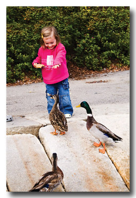 Then she feeds the ducks with such...