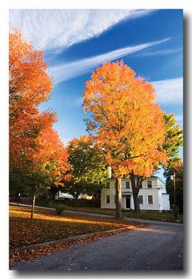 Oct. 15: Dawns clear and bright, so I head south to try to...