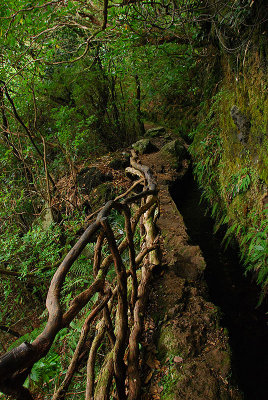 Ribeiro Frio - Portela